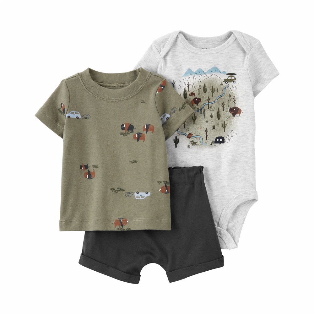 Carter's Baby Boy Grey Shorts